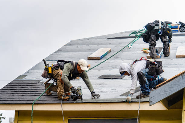 Professional Gutter Installation technician working in Hodge, LA